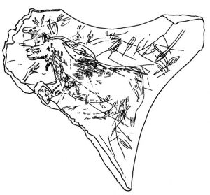 224639_1024817935770_2862_n_1024817935770