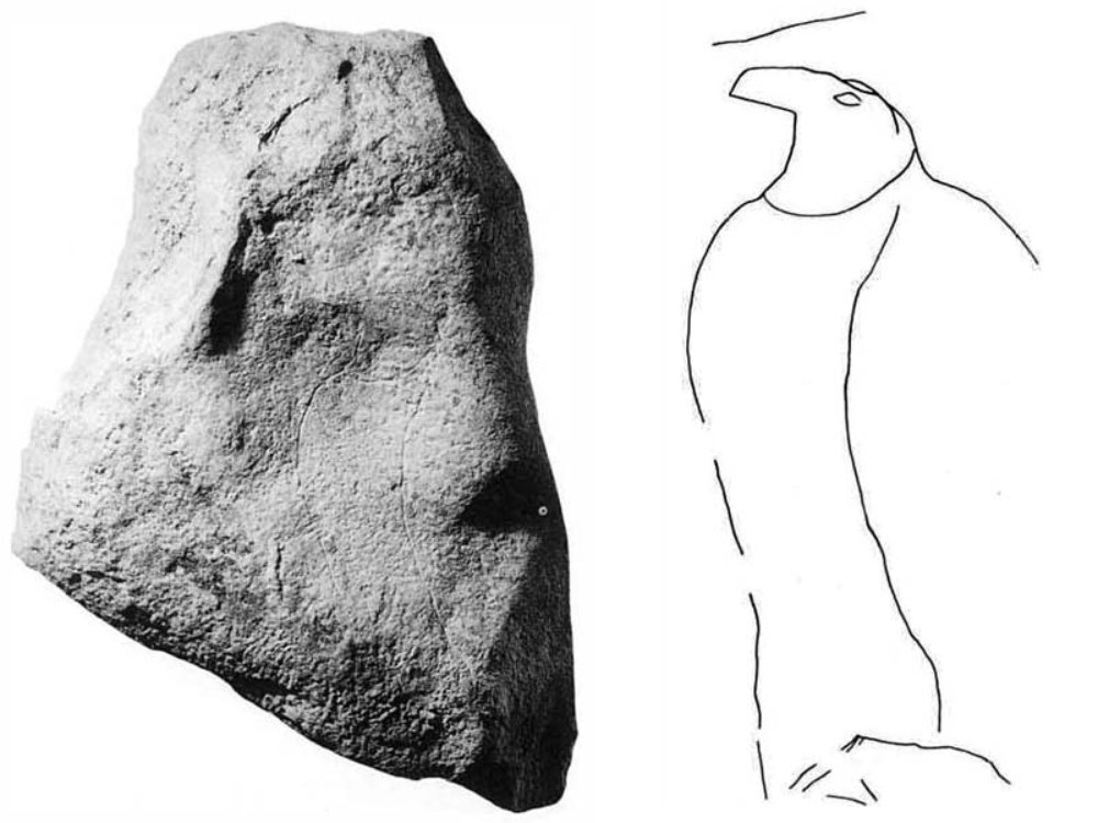 PinguinoGrottaPaglicci